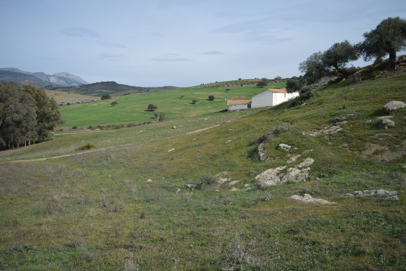 Cortijo in the countryside 